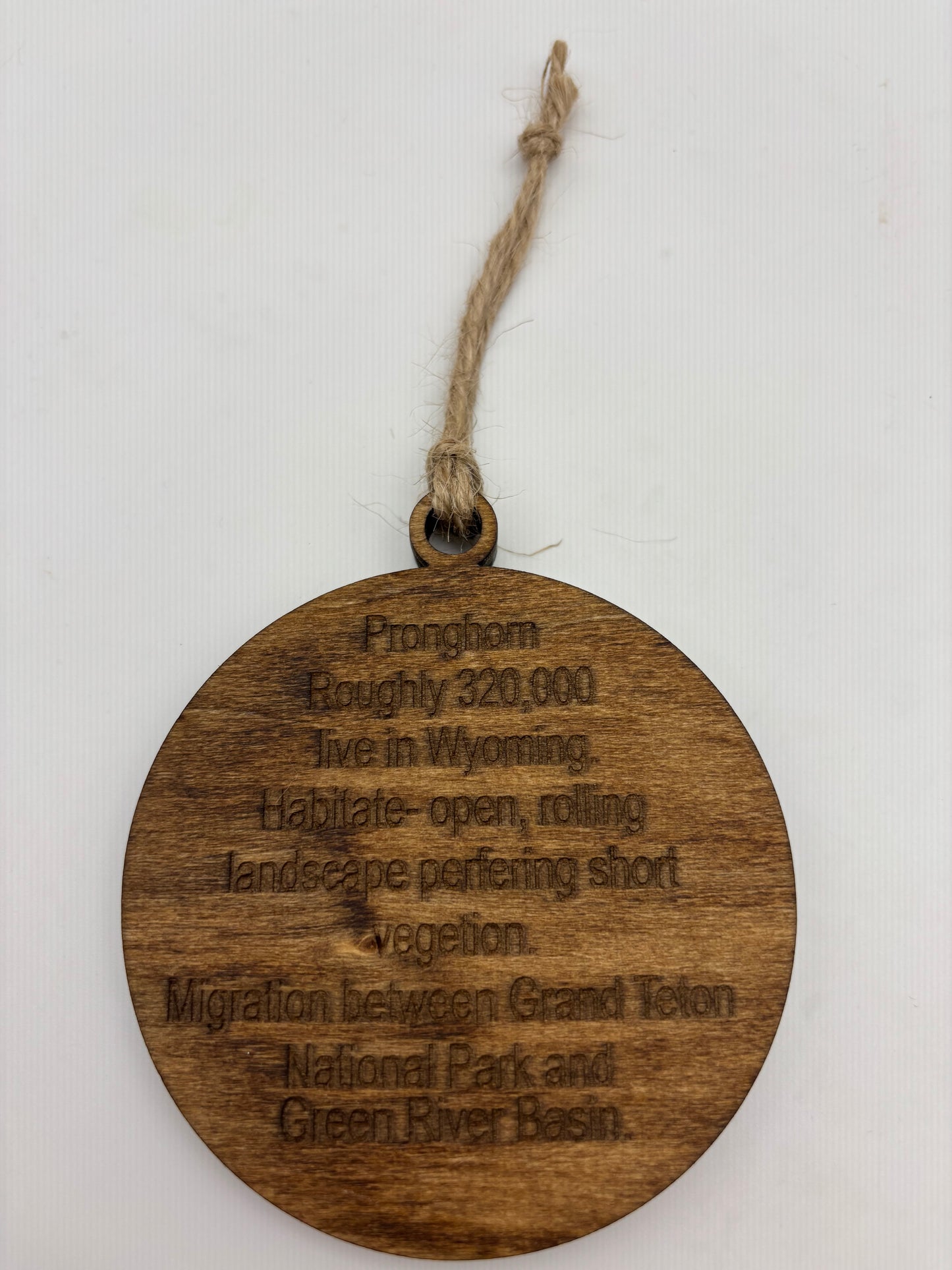 Pronghorn Ornament
