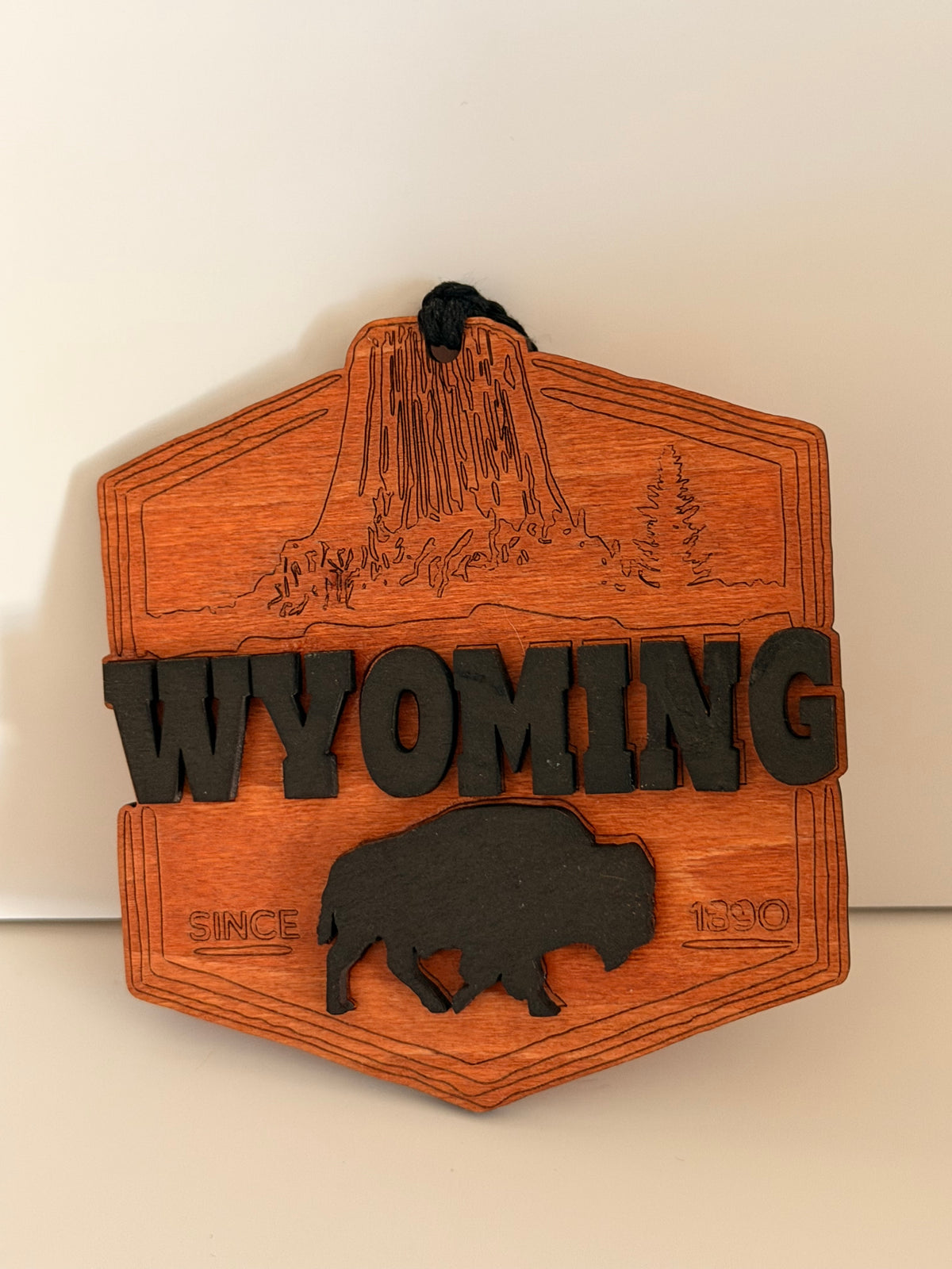 Wyoming Wooden Ornament – Raised Lettering & Bison