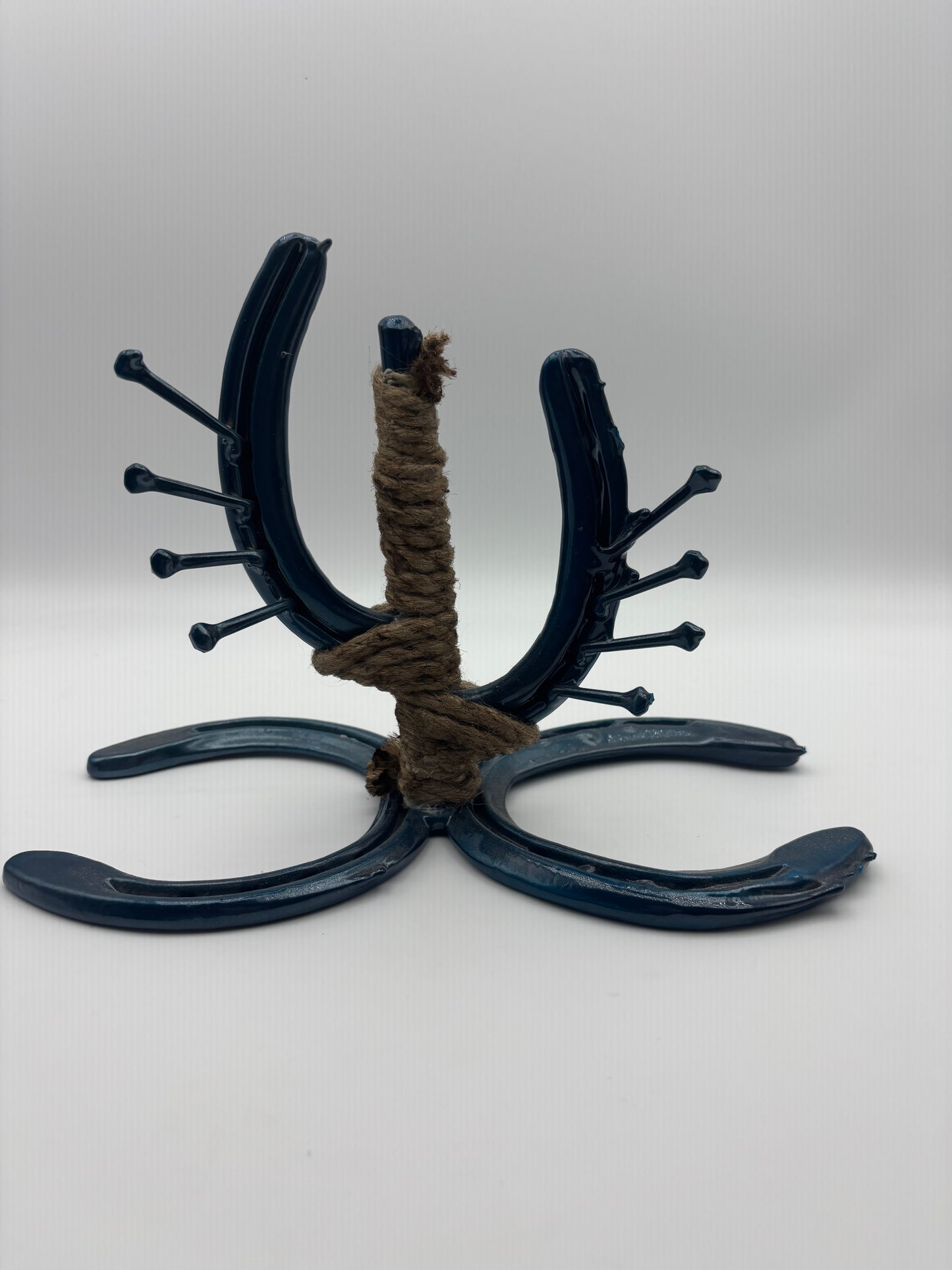 Horse shoe jewelry display